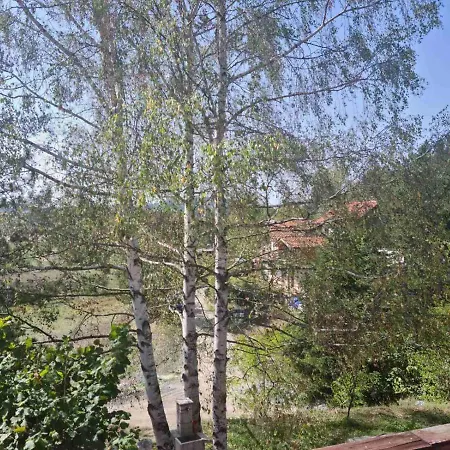 Pogled